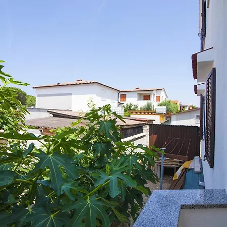 Apartmán Maja *